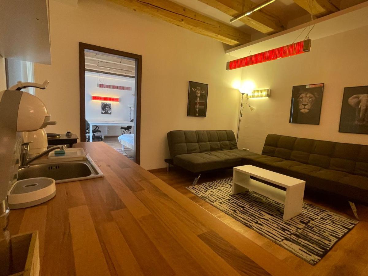 Savoya4 Old City Center Self Checkin Workspacestudio Timisoara Luaran gambar
